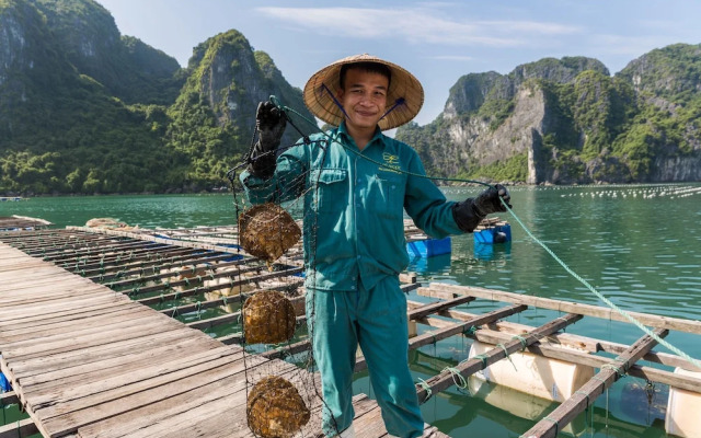 Heritage Line Violet cruise – Ha Long Bay & Lan Ha Bay