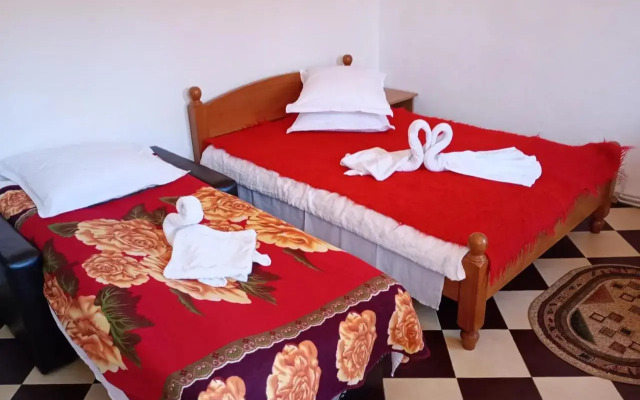 Pensiunea Irina Zarnesti