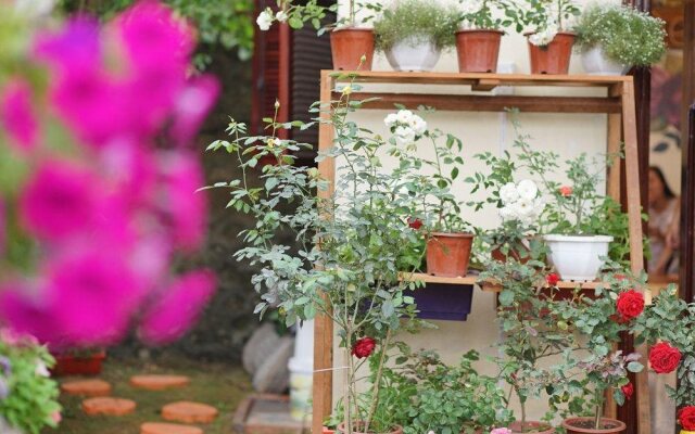 De Roses Ha Long Homestay Hostel