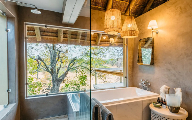 Thornybush Game Lodge