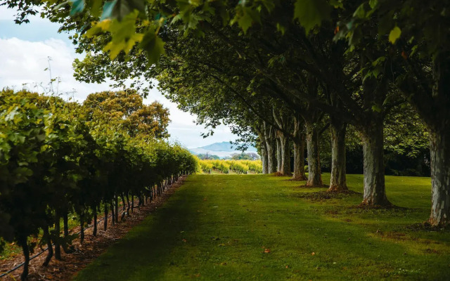 The Marlborough