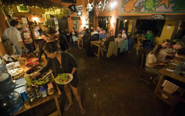 La Iguana Perdida - Hostel