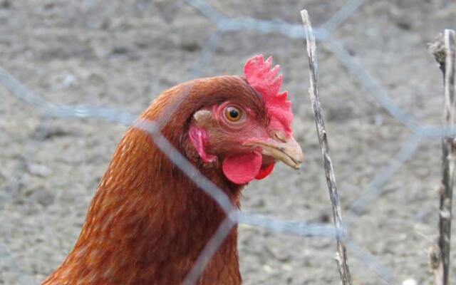 Gîte La Longère de la Thébline
