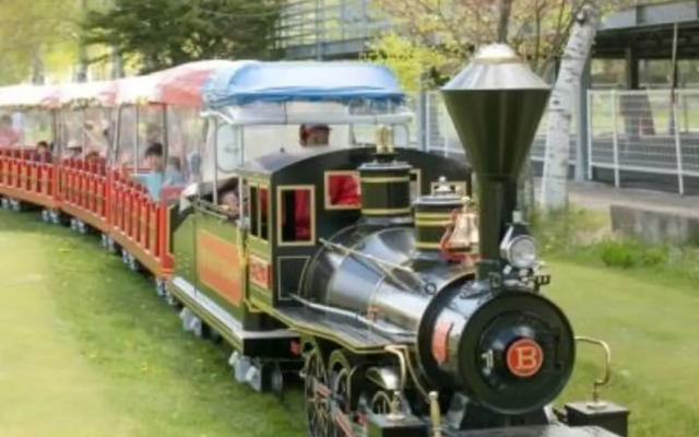 Shirakabako Hotel PAIPU NO KEMURI