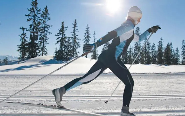 Cosy Flat in the Alps