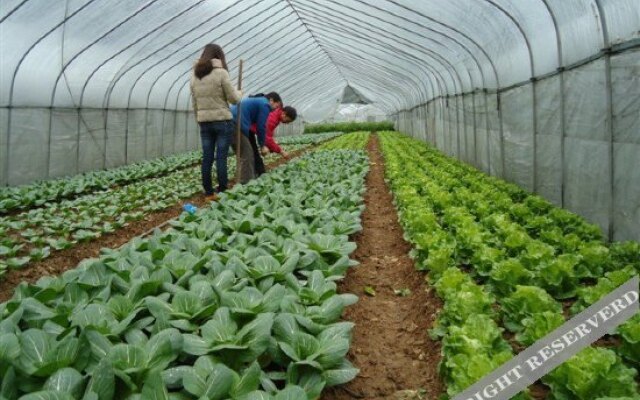 Qiandaohu Shanwanwan Farmer's House