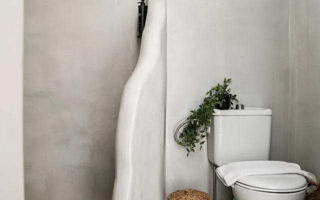 White Curves