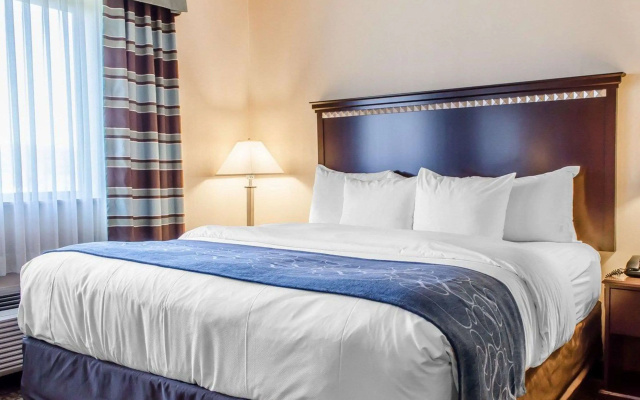 Comfort Suites Bloomsburg