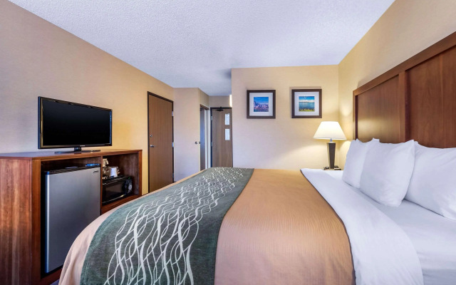 Comfort Inn & Suites Bothell - Seattle North
