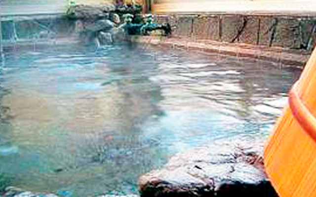 Asahisanso – Pool – Kawanehon