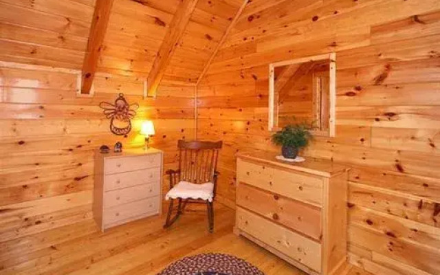 Buddy Bear 249 by Aunt Bug's Cabin Rentals