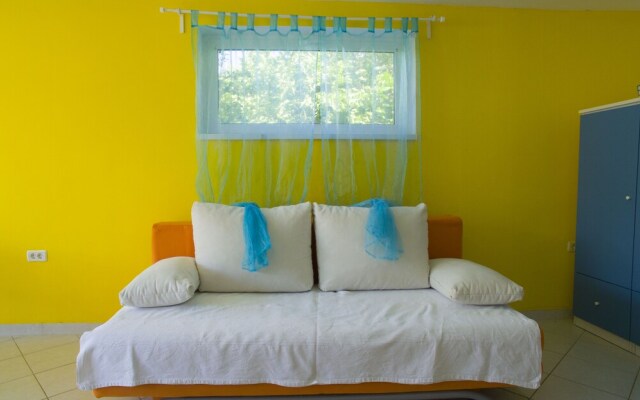 Victorious VIScovery Blue