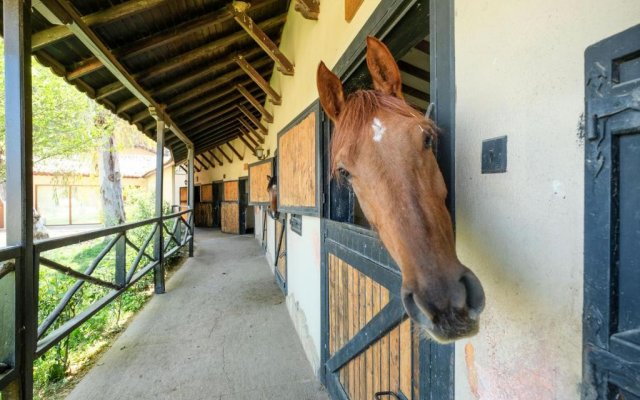 Hotel Berke Ranch & Nature 