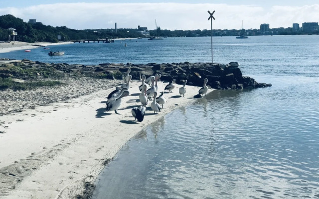 XYL Pets Friendly Seaside Boutique Guesthouse