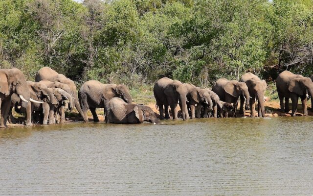 Royal Morubisi Founder's Lodge