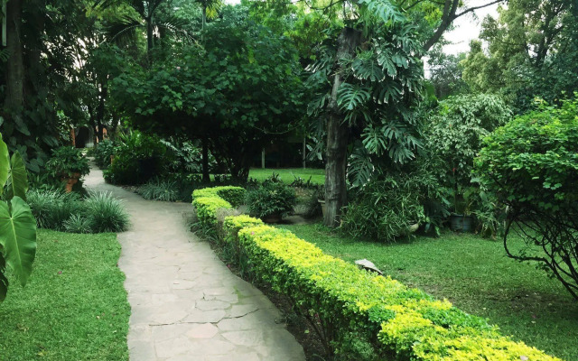 Palmwood Lodge