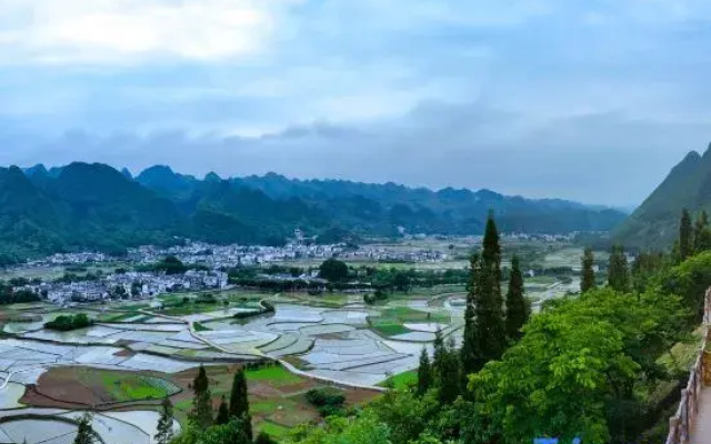 Wanfenglin Xiguan Camp