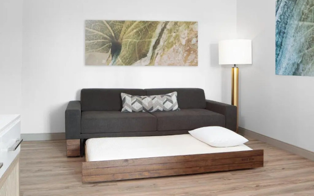 SpringHill Suites Roanoke North
