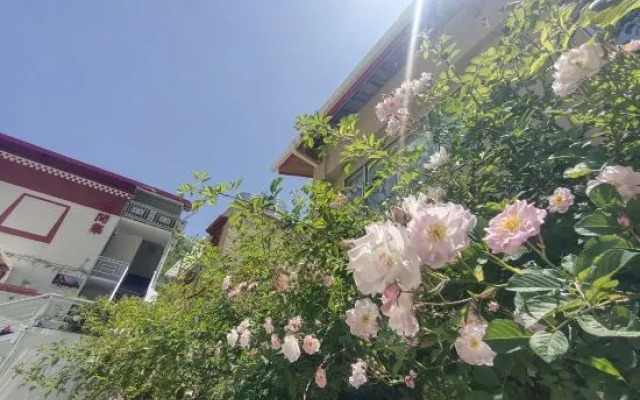 Huajianji Courtyard Home stay