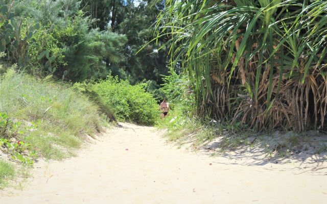 Under the coconut tree - Hostel