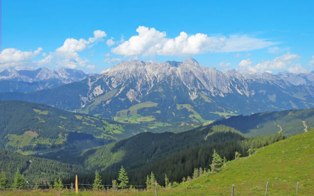 Saalbacher Perle (SLB350)