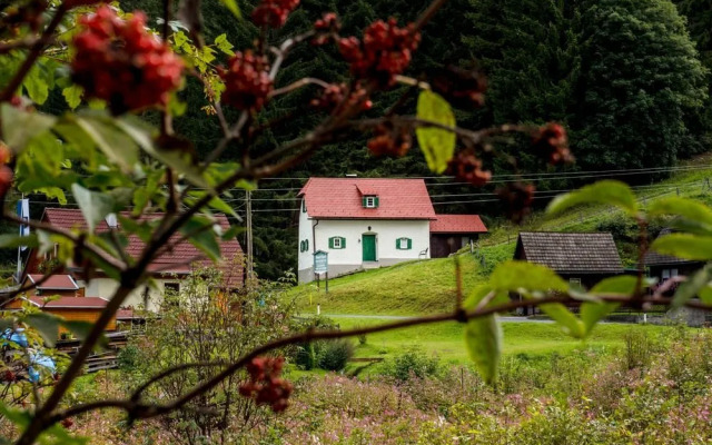 Zinkhaus - Waldheimat Alpl
