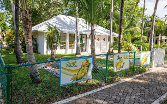 Hotel Riu Lupita - All Inclusive