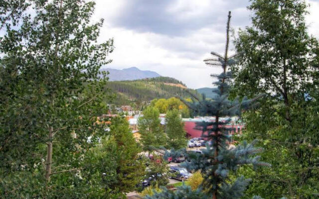 Breckenridge Resort Managers