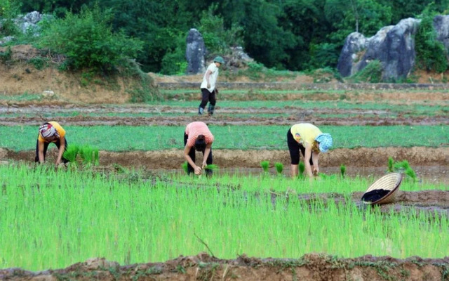 Minh Tho Stilt House