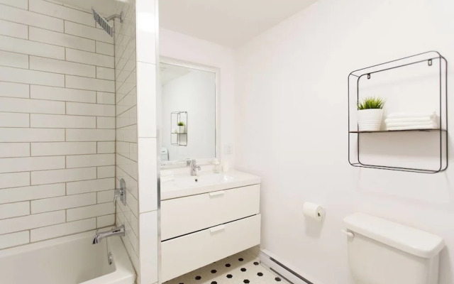 Live Like a Local in Le Plateau