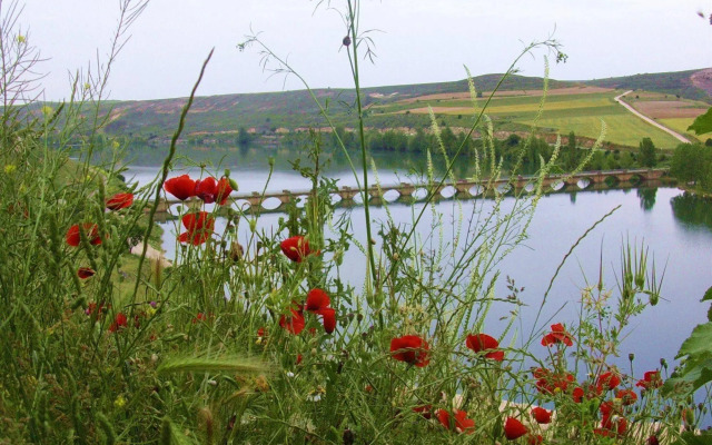 Boutique & Spa Capitulo Trece