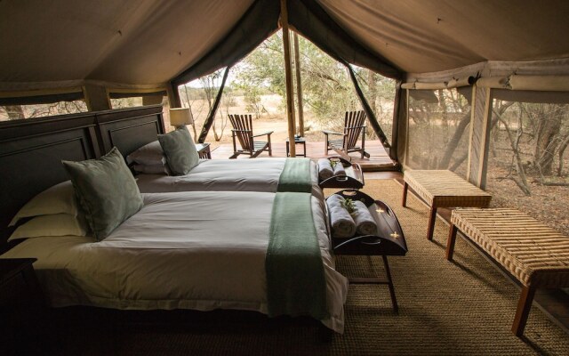 Plains Camp @ Rhino Walking Safaris