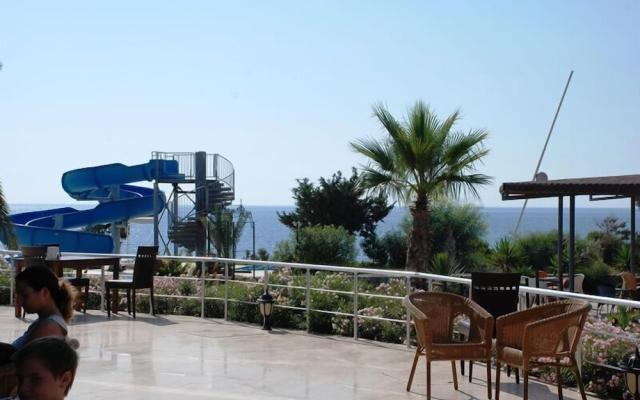 Yeldener Crystal Rocks