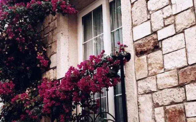 Villa Veria