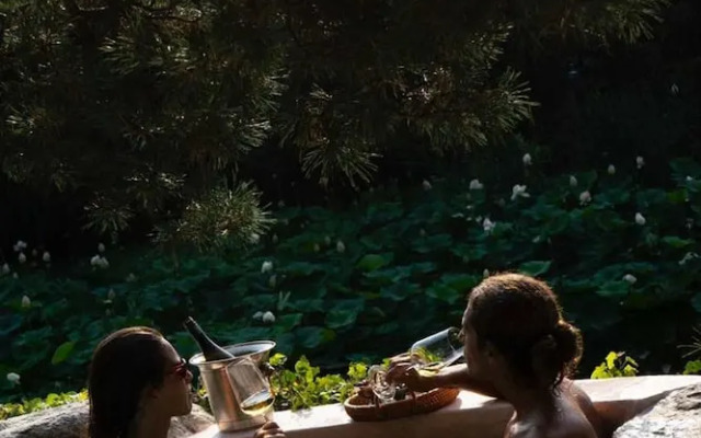 Tranquil 1BR Villa in Revislate