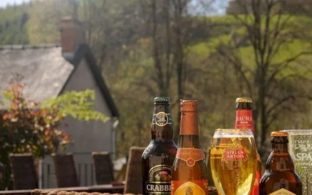The Mount Inn