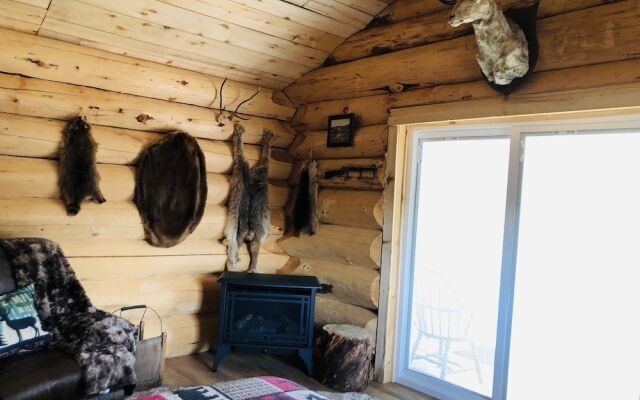 Wrangell Mountain Lodge