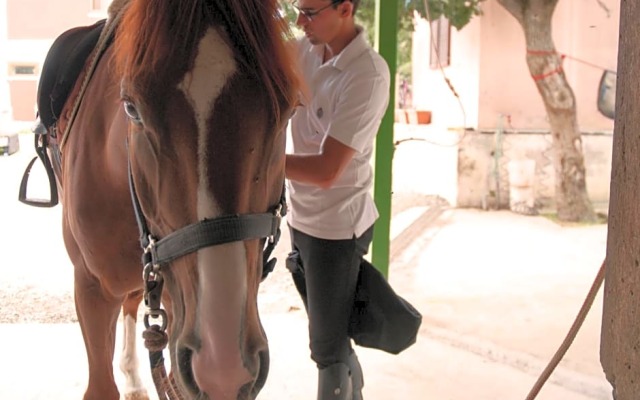 Agriturismo Fasano