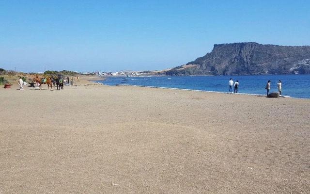 Jeju Sunflower Guest House