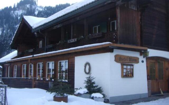 Hotel Garni Alpina