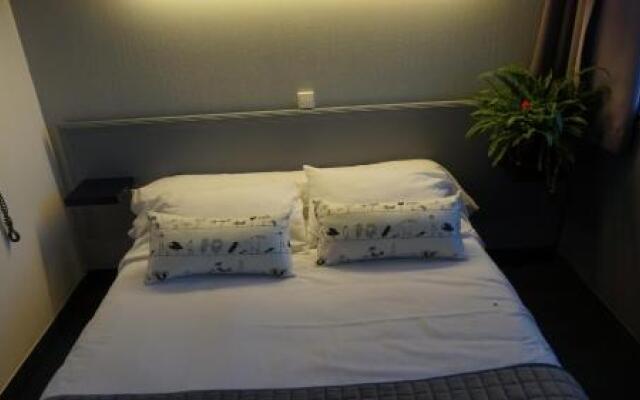 Les Agapanthes