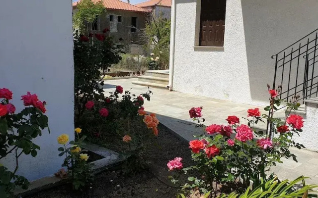 Zmas Studio