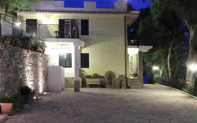 La Gatta Del Cilento