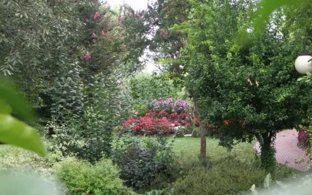 Agriturismo Demetra