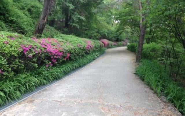 Pineville Home Single