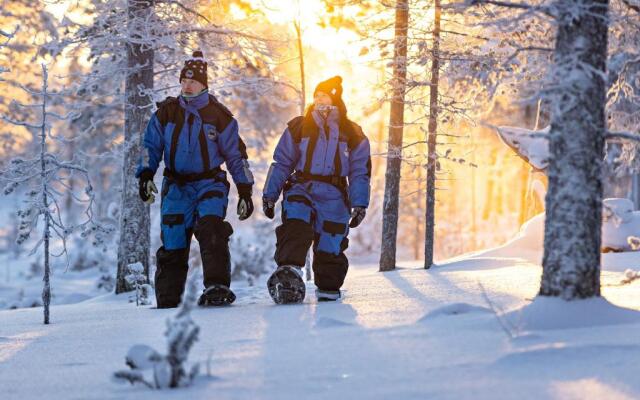 Polar Aurora Cabins
