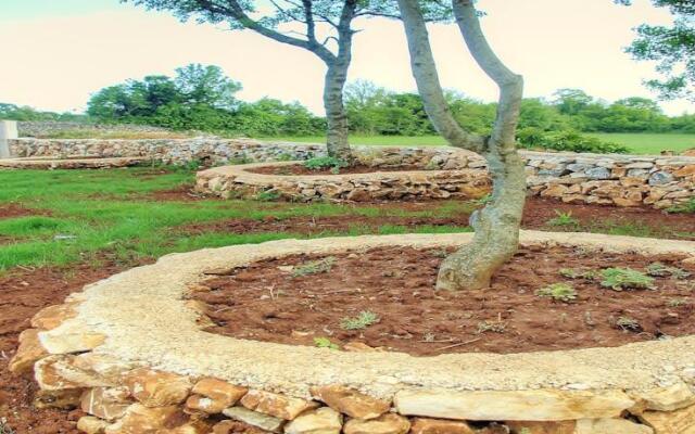 Holiday Home Tranquila 241