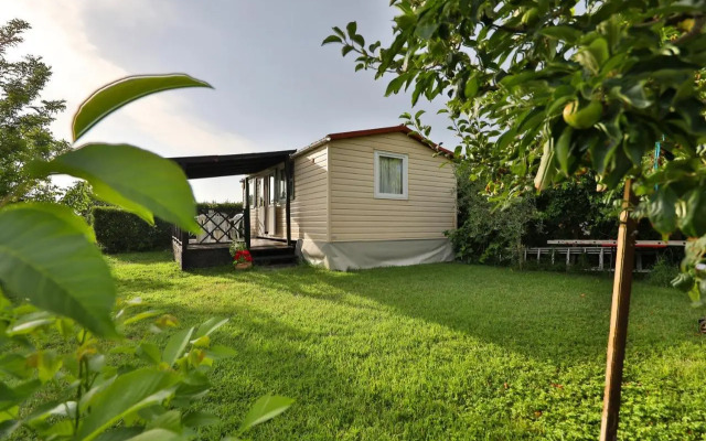 Mobile Home Grbe