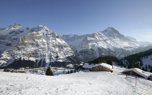 Alpinhotel Bort