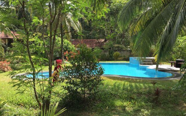 King Coconut Lodge